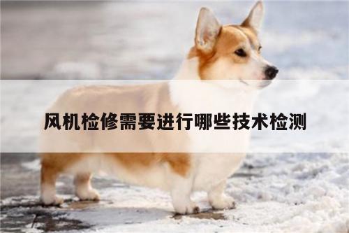 风机检修需要进行哪些技术检测