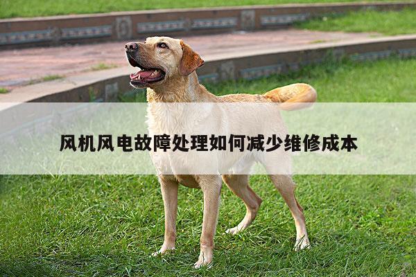 风机风电故障处理如何减少维修成本